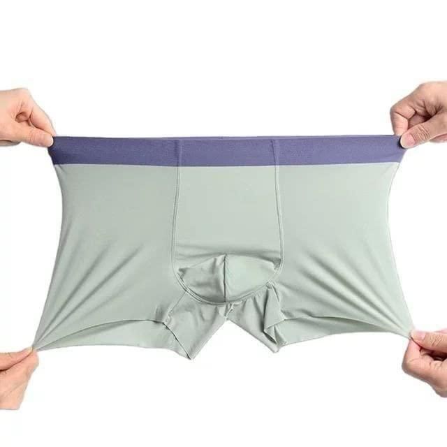 Men's Ice Silk Briefs Boxers – Pack of 5