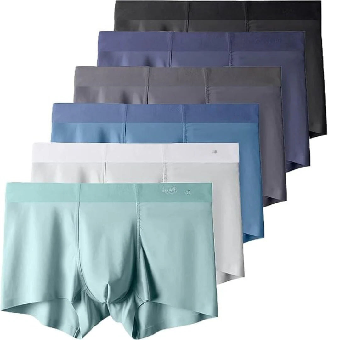 Men's Ice Silk Briefs Boxers – Pack of 5