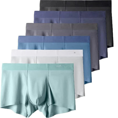Men's Ice Silk Briefs Boxers – Pack of 5