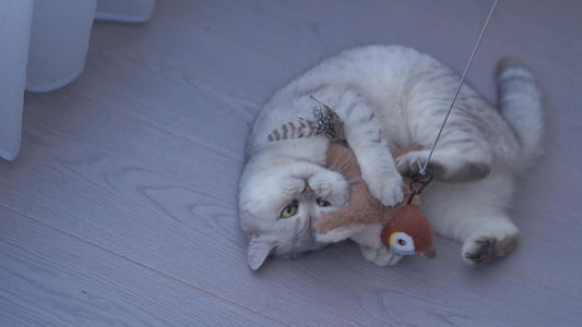 Rechargeable Flapping Bird Cat Toy with Sound