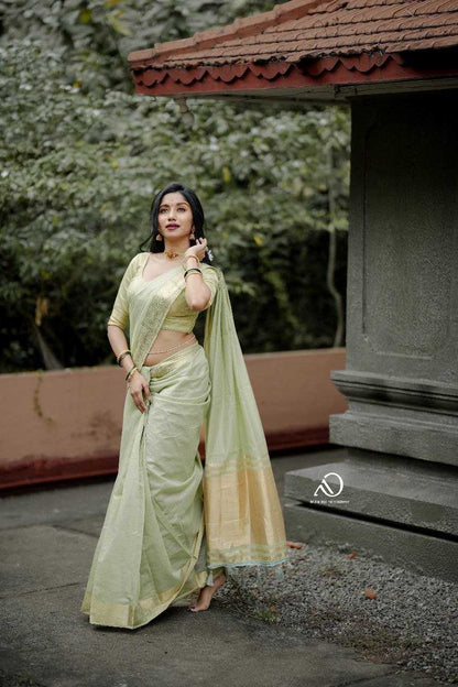 YNF Soft Silk Mohini Vol 19 Saree – Elegant Zari Woven Soft Silk Saree with Blouse