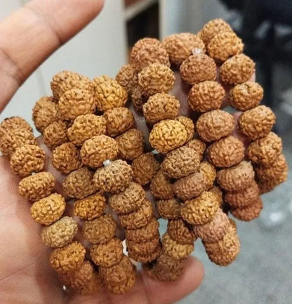 7 Mukhi Rudraksha Bracelet for Wealth & Spiritual Growth