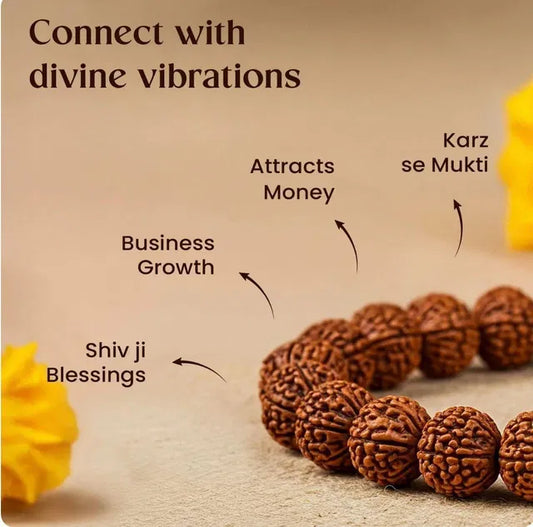 7 Mukhi Rudraksha Bracelet for Wealth & Spiritual Growth