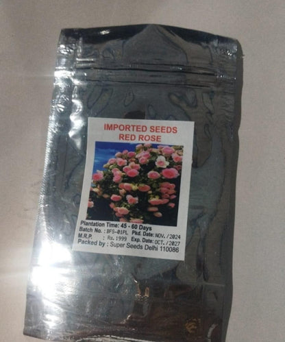 Elegant Climbing Rose Flower Seeds – 1 Pack