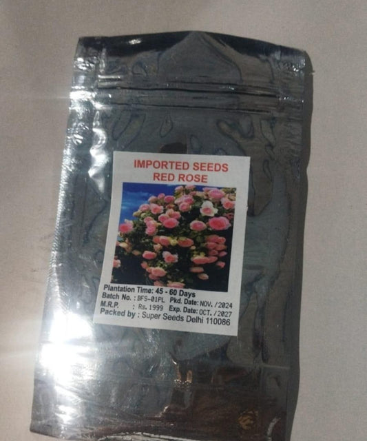 Elegant Climbing Rose Flower Seeds – 1 Pack